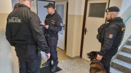 policie kontrola ubyt2